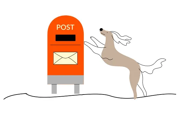 Dog mailing items back to Mail box