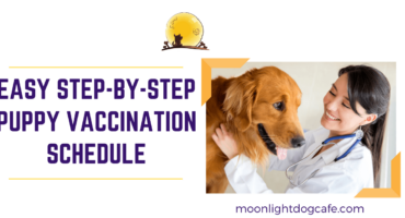 Puppy Vaccination Schedule and Dog Vaccination costs in Canada