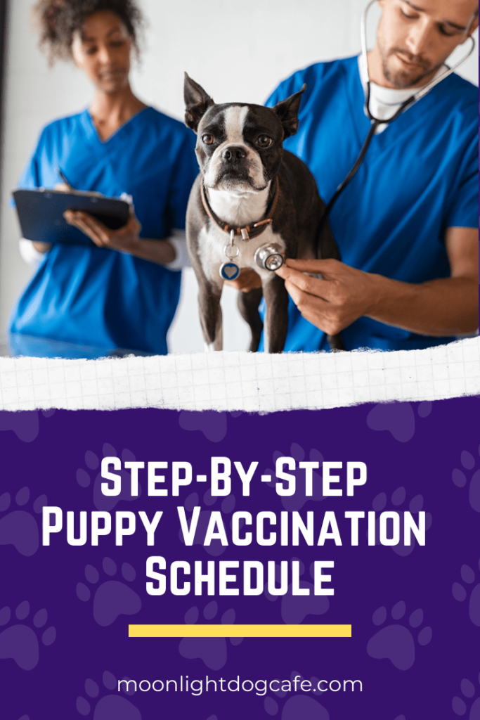 Step by Step Puppy Vaccination Schedule