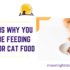 Benefits of Feeding Raw Dog/ cat Food