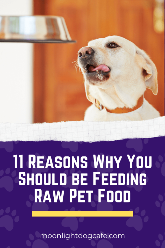 Benefits of Raw Pet Food