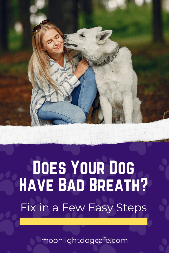 Does your dog have bad breath