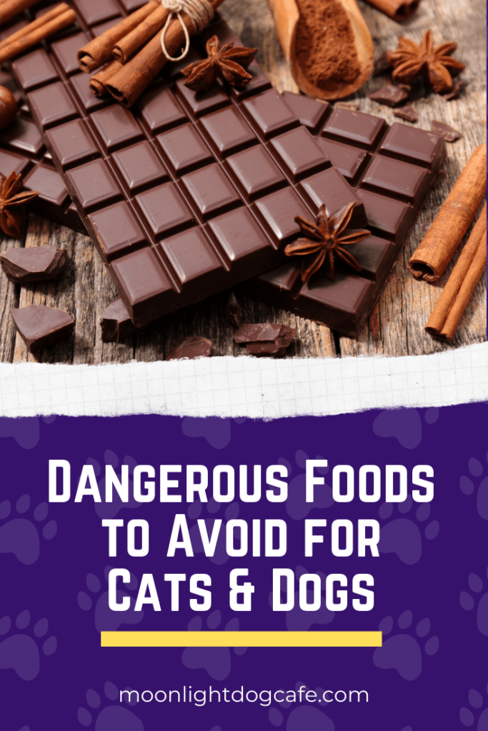 Foods that dogs and cats should avoid