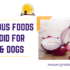 Foods for dogs and cats to avoid