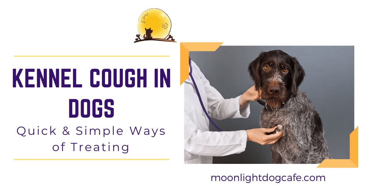 what can soothe a dogs throat