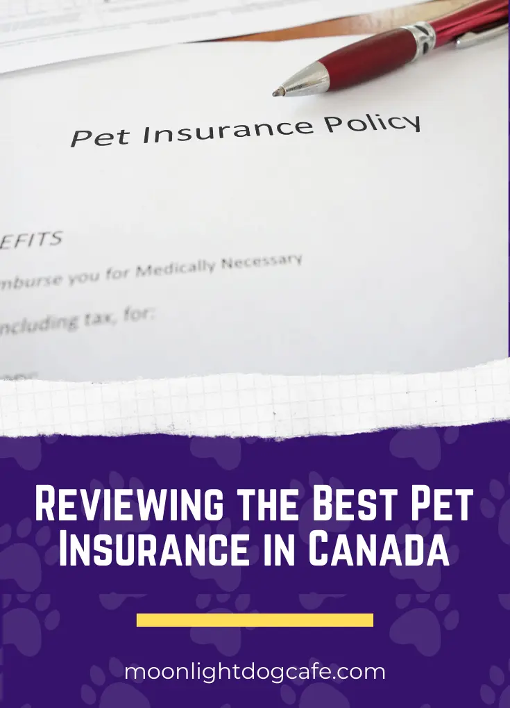 best pet insurance in Canada