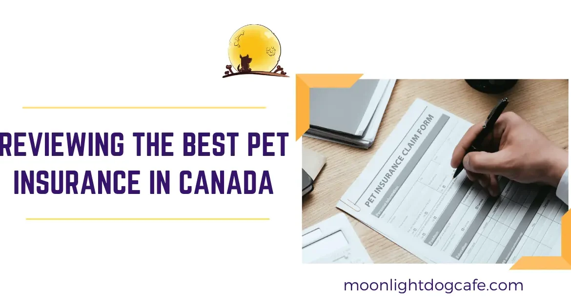 Reviewing the best pet insurance in Canada