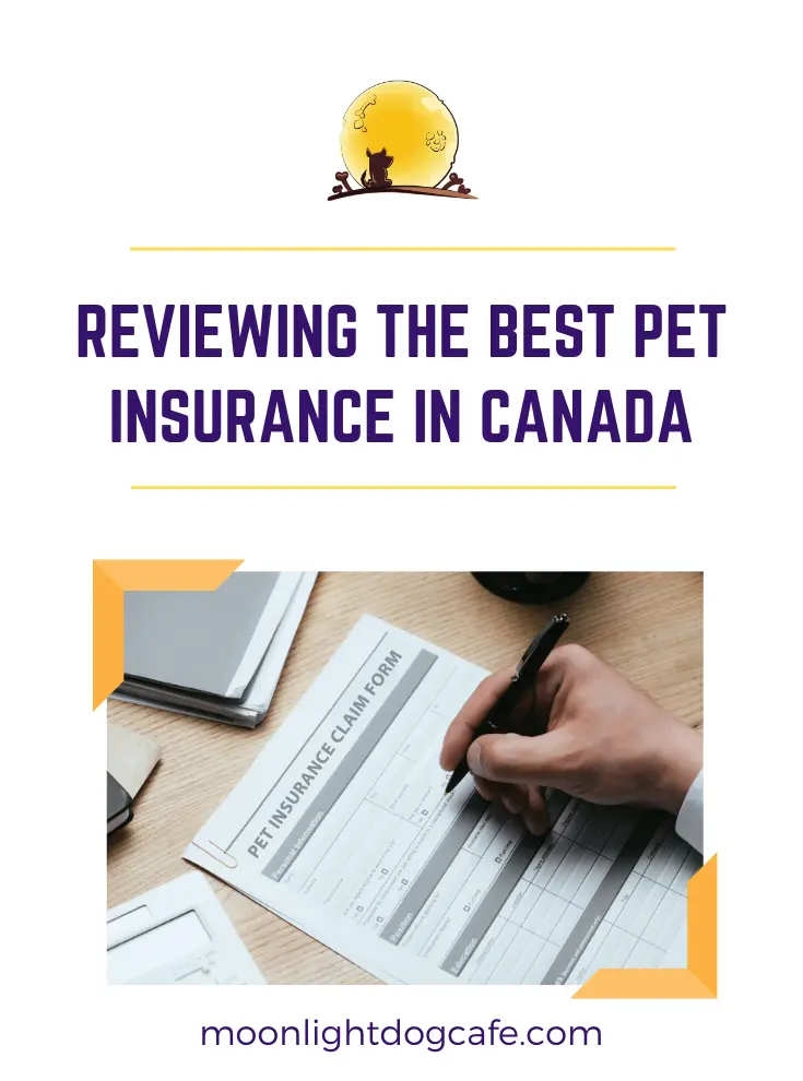 Reviews of the best pet insurance in Canada