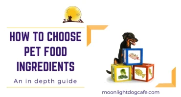 How to Choose Pet Food Ingredients