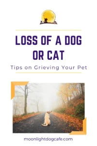 Grieving when your pet passes away