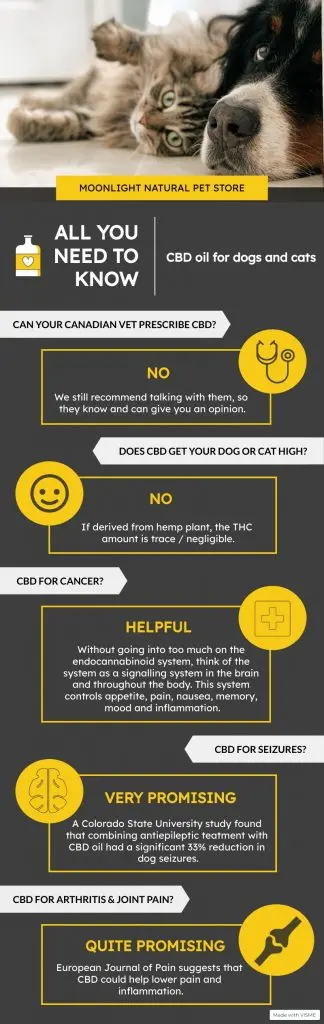 Infographics on research into CBD oil for dogs and cats