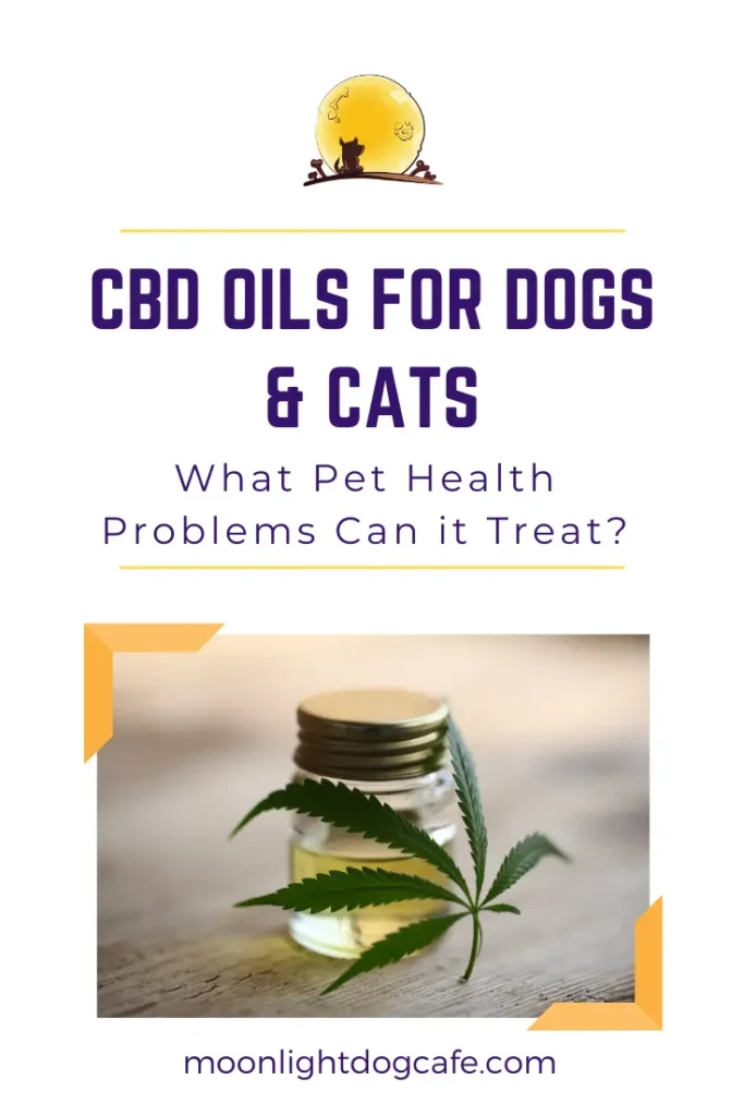 Can CBD treat dog cancer, seizures, anxiety?