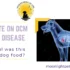 Heart disease in dogs and what to do