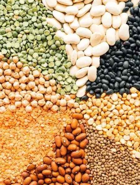 Legumes used in pet food