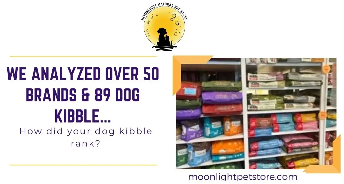 Shelf of dog kibbles to be ranked as best and worst