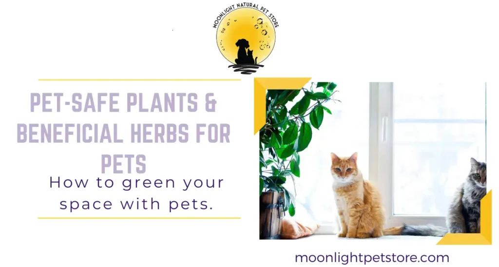 Embrace Green Living: Discover a Great Guide to Pet-Safe Plants &#038; 3 Beneficial Herbs for Pets