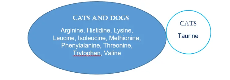 Amino acids for cats and dogs