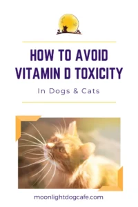 Tips on avoiding vitamin D toxicity in pets