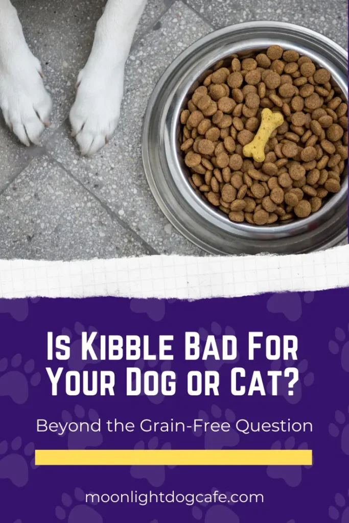 The Truth about Kibble Is Kibble Bad for Your Dog and Cat