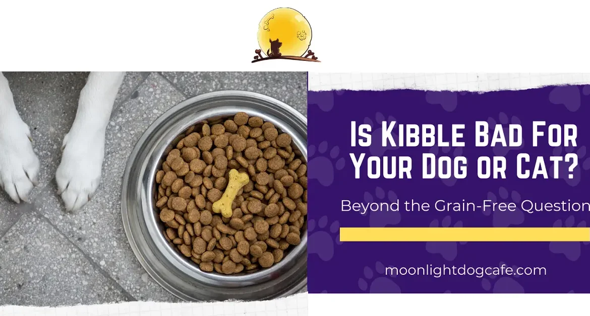 Is dog kibble bad for dogs hotsell