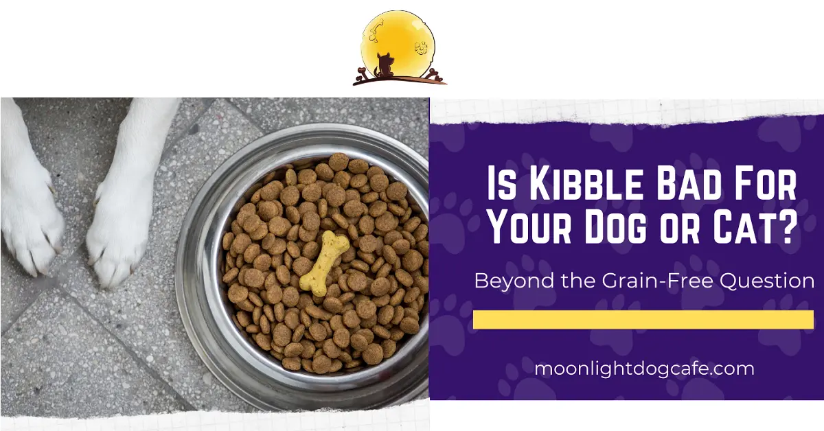 The Truth about Kibble Is Kibble Bad for Your Dog and Cat