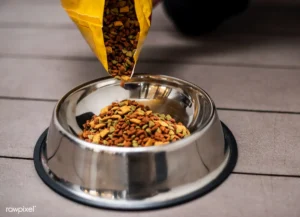 Kibble or dry pet food