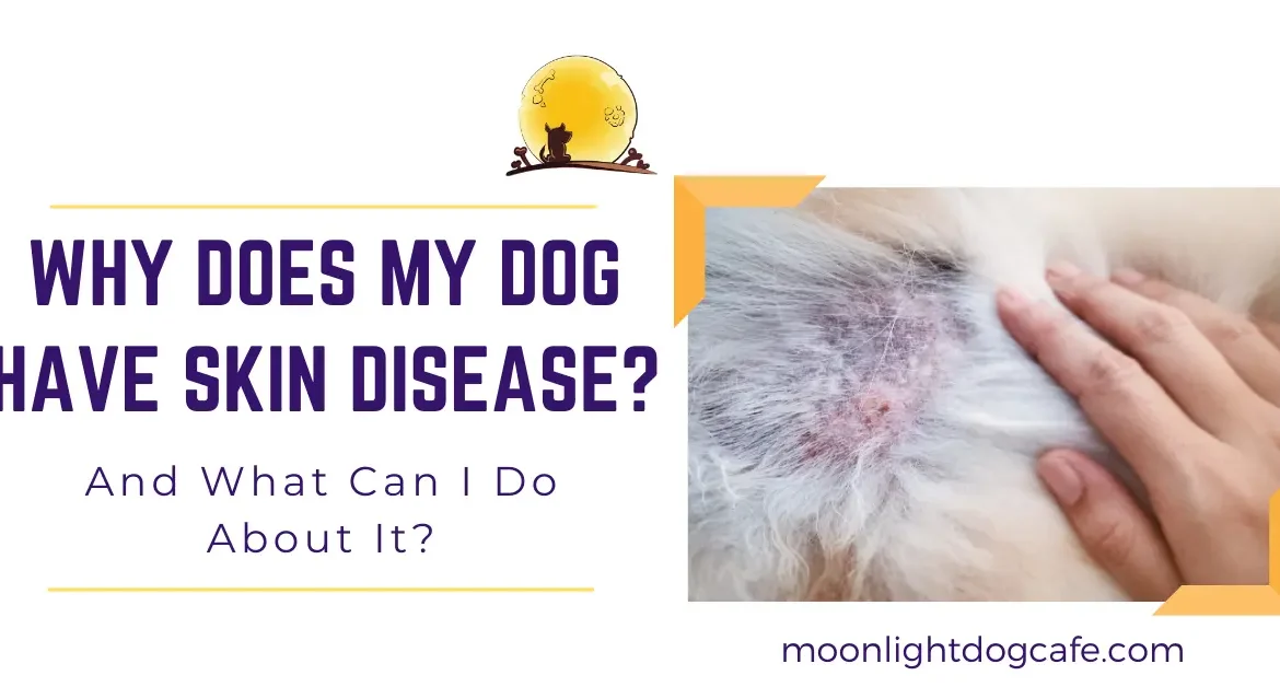 Cover pic for Dog with skin disease