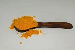 Add Turmeric to pet food for dogs and cats